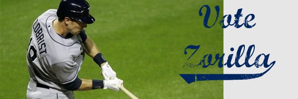 Vote Zorilla for the 2009 MLB All-Star Game